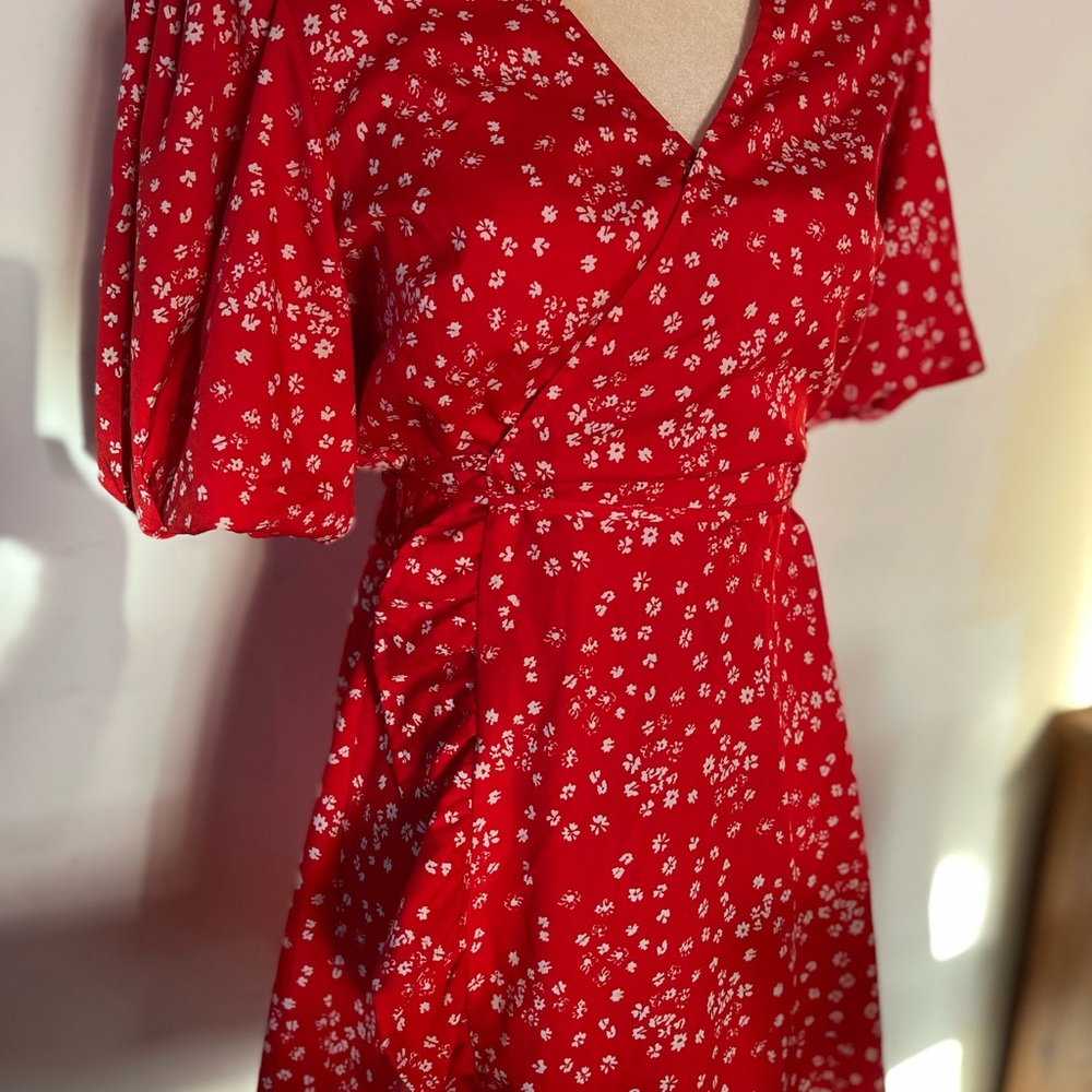 Red Dress - Picture 13 of 16